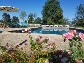 Hotels in Rocchetta Tanaro